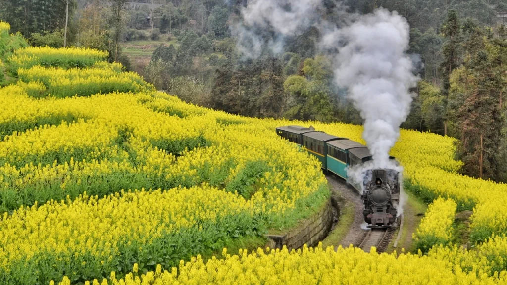 Leshan - China Travel Guide
