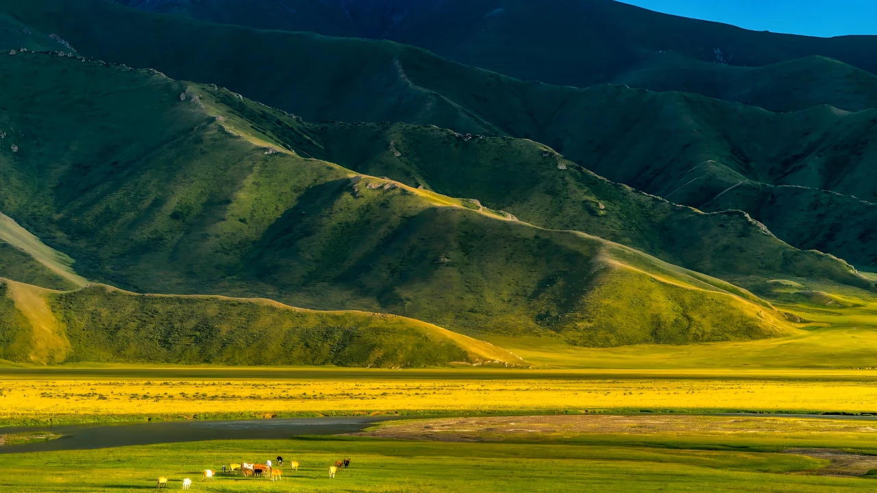 Hohhot 3-Day In Depth Tour Guide