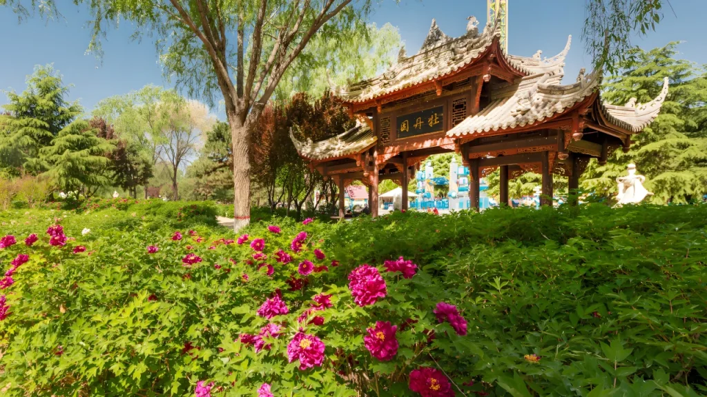 Shijiazhuang 3-Day Deep Travel Guide